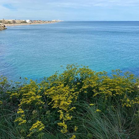 New Stylish Beach Front Apartment Cullera Exteriör bild
