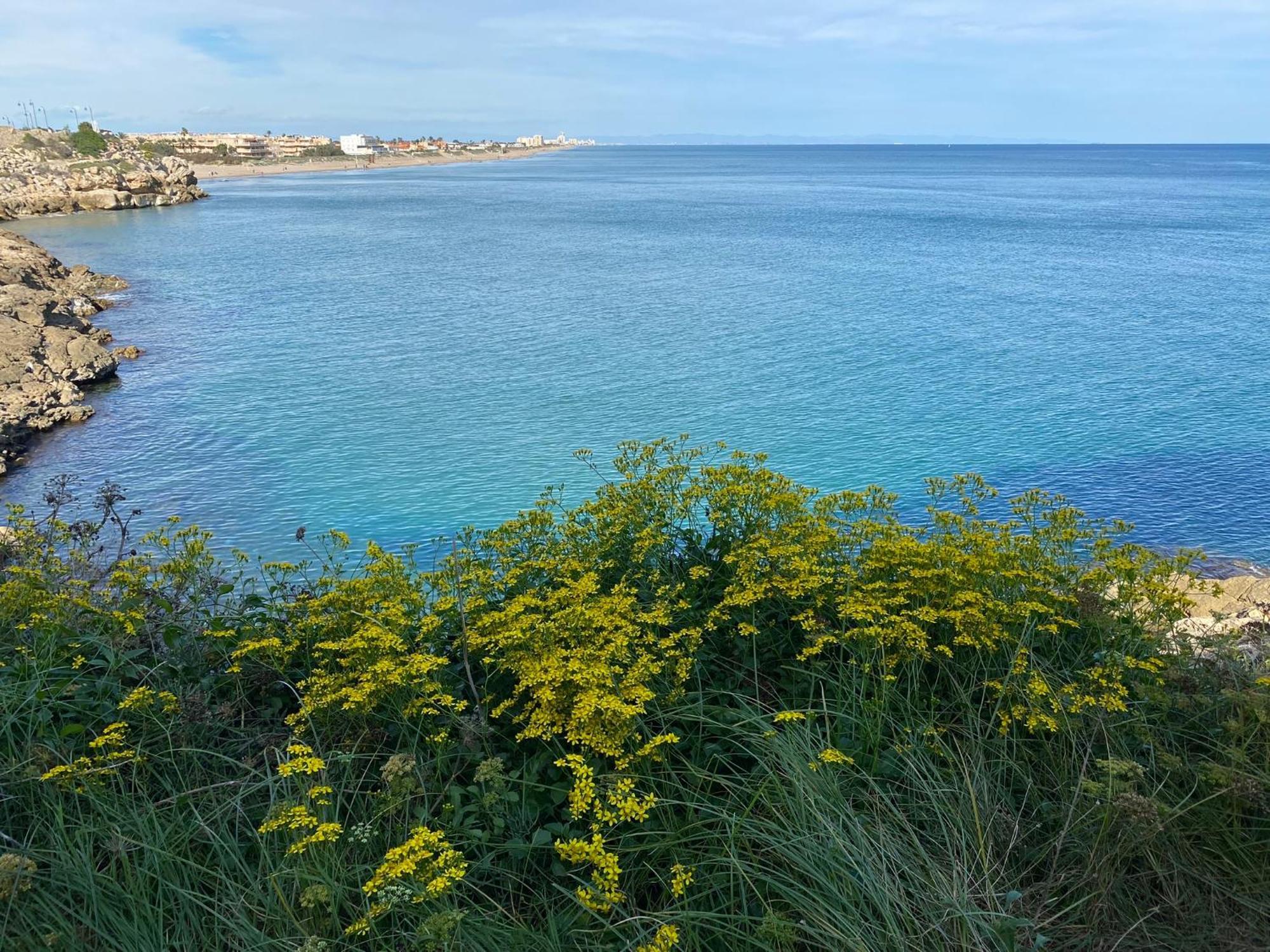 New Stylish Beach Front Apartment Cullera Exteriör bild
