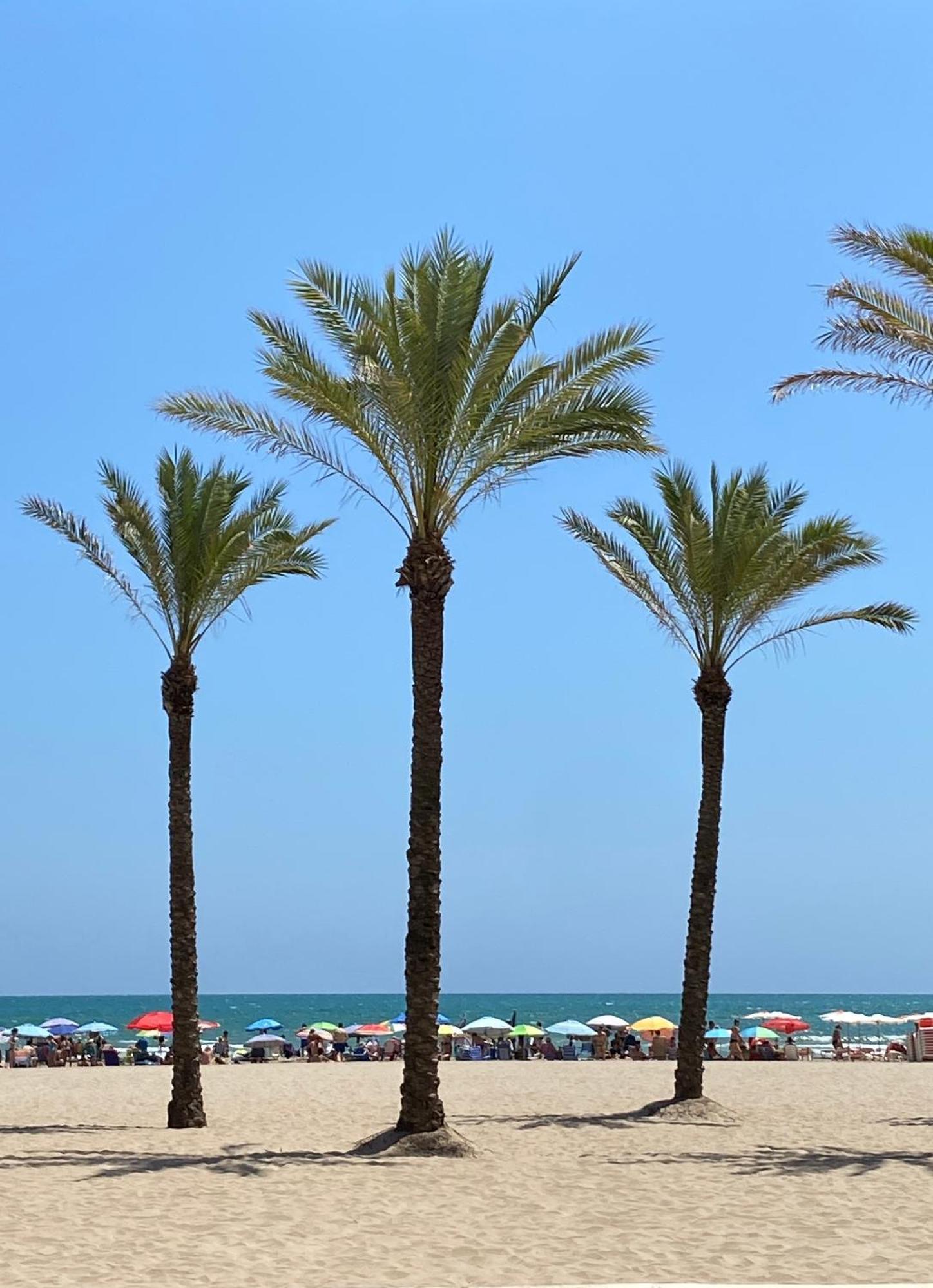 New Stylish Beach Front Apartment Cullera Exteriör bild